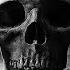 Sons Of Anarchy Simple Man