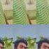 Halim