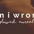 Nico Vinz Am I Wrong Slowed Reverb