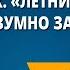 А А Блок Летний вечер О как безумно за окном