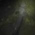 Waking Up The Everglades Swamp Puppies Everglades Youtubeshorts Wildlife Viral Alligator Viral