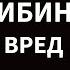 Как псилоцибин может перестроить наш мозг его терапевтические преимущества и риски на русском