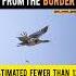 LAST REMAINING GREAT INDIAN BUSTARD SHIFTED AWAY BORDER FEWER THAN 130 WILDLIFE RESCUE Yt