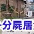 女孩體驗原住民文化時神秘失蹤 警方靠 林誌玲 尋得真兇 結局卻讓人大跌眼鏡