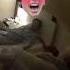 Jungkook Wanted To Sleep With RM But Shyly Turned Away When RM Tried To Hug Him Shorts Bts