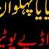 Kya Jailon K Ander Bad Muashi Krna Khala Ji Ka Wara Hai Yaya Pehalwan Ki Zubani