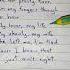 Nelly Just A Dream Lyrics Justadream