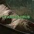 Top 8 Strongest Creatures In Jurassic World Rebirth Jurassic World Edit Jurassicworldrebirth