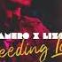 VAMERO X LIZOT Bleeding Love Lyrics 가사 해석