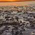 Последняя песня весенних льдинок The Last Song Of Spring Ice Floes