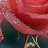 The Best Music In The World Soothing Music For The Soul And Life Sergey Grischuk 2