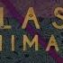 Glass Animals Black Mambo Official Lyric Video