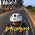 Escape To Tranquility A Countryside Journey Shorts