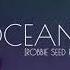 Dash Berlin Oceans Robbie Seed Remix