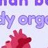 Human Body Organs Science For Kids STEM Home Learning