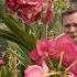 Top Vanda Orchid Care Tips Revealed