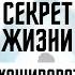 ОТКРОВЕНИЯ ГУРУ СЕКРЕТ ЖИЗНИ НОЧЬ ШИВЫ МИР В УКРАИНЕ ЧТО ЖДАТЬ В 2025 ИНТЕРВЬЮ С ПРОСВЕТЛЕННЫМ