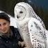 Winter Majesty Woman And Giant Snowy Owl In Serene Landscape