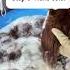 Do You Know The Process To Create A Hair Bundle