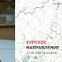 В Украине подводят итоги Курска Нарастание протестов в Турции Египет примет 500 000 палестинцев