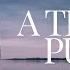 A Time To Purge 1 Corinthians 5 By Tim Cantrell