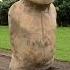 Scientists Make Easter Island Statue Walk National Geographic