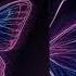 DIM3NSION Metamorphosis Extended Mix