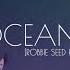 Oceans Robbie Seed Remix