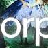 SCORPIO SOMEONE WILL JUMP THROUGH FIRE TO GET TO YOU LOVE TAROT
