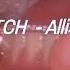BITCH Allie X Lyrics