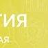 Биология 7 класс Эвглена зеленая