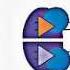VDJ Gene Recombination