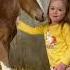 Grateful She Got To Read To Her Foal Horse Equestrian Horselover Farming