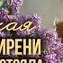 ОДИНОКАЯ ВЕТКА СИРЕНИ Трогательные песни о любви BestPlayerMusic