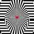 Mind Bending Illusions Can You Trust Your Eyes