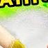 SML Movie Shrek S Bath Problem REUPLOADED