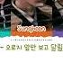 ENHYPEN Scream Lyrics 엔하이픈 Scream 가사 Color Coded Han Rom Eng LyricsByPriyankaShahi