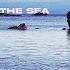 Across The Sea