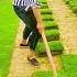 The Process Of Moving The Cultivated Grass To The Garden Shorts