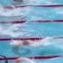 Caeleb Dressel S 100 Freestyle At The Tokyo Olympics Swimming Olympicswimming Olympics Swim