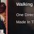 One Direction Walking In The Wind Acapella