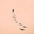 1 Hour Quicksand Don T Go Above Beyond Zoë Johnston