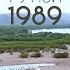 Сагаалган 2025 Гунэй 1989 Могой жэлтэн