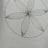 Draw Perfect Flower With Compass Stepbystep Shorts Viral Easy Support