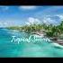 Tropical Summer