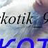 Эллаи Никотин 2018