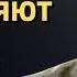 Как Ваши МЫСЛИ Определяют Ваше БУДУЩЕЕ Джо Диспенза