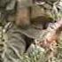 Maa Adareneeya Mage Amma Wethatai Sri Lanka Army Song