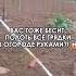 Прополола свой огромный огород буквально за один вечер просто чудо