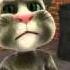 2505 Talking Tom Hits